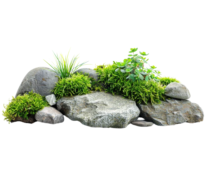 Equilibre Paysage Paysagiste Montrevault Sur Evre Facebook